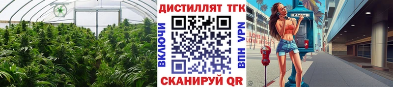 ТГК гашишное масло  Берёзовка 
