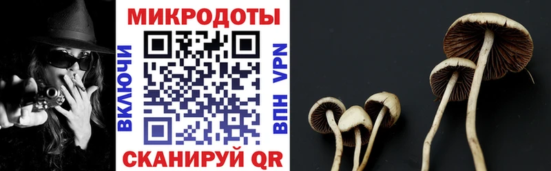 Галлюциногенные грибы Psilocybe  OMG маркетплейс  Берёзовка  цены  